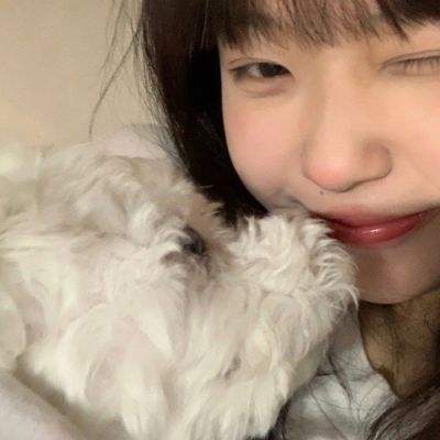 葫芦娃tv版bt版下载